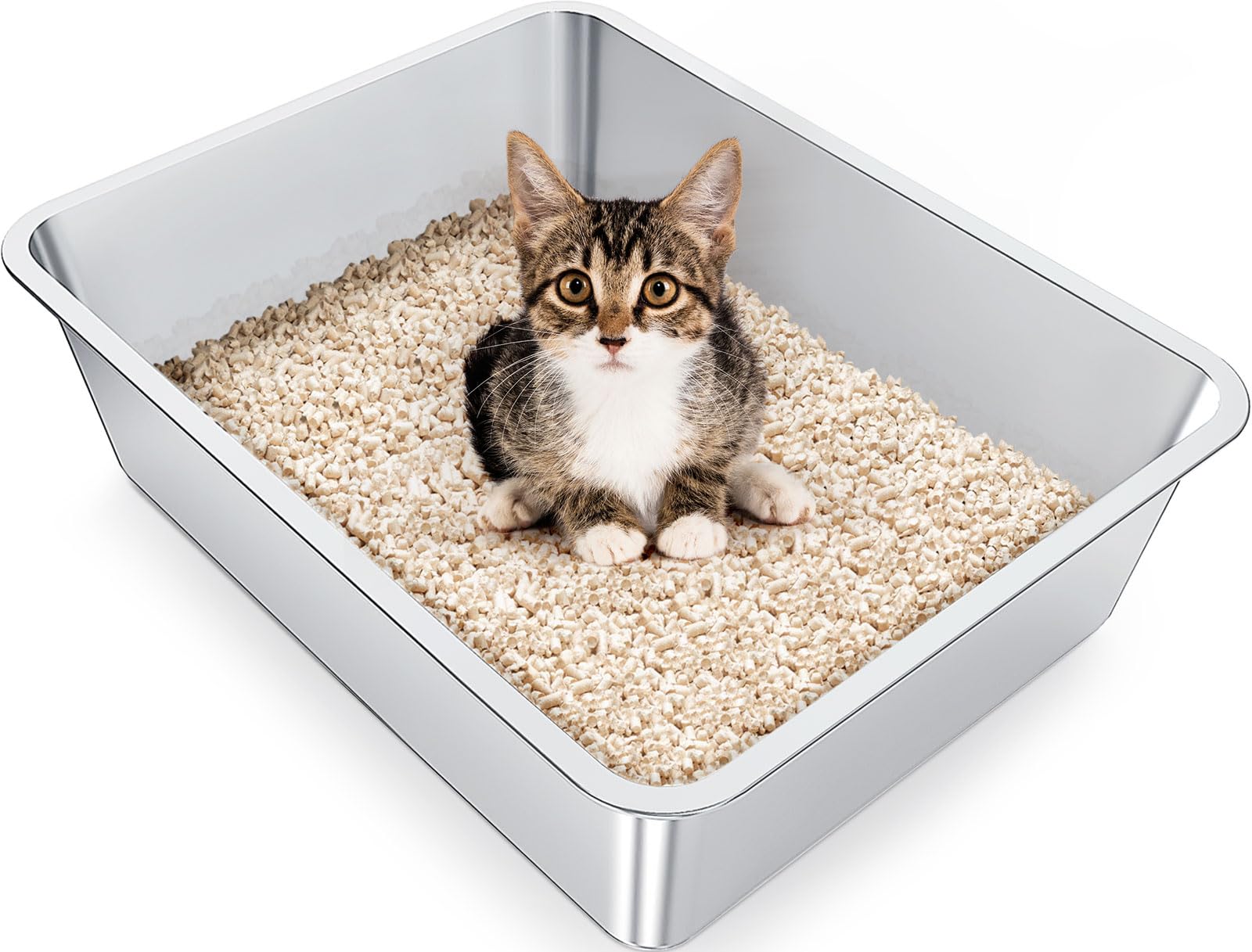 Stainless Steel Cat Litter Box – Non-Stick, Rust-Proof, Extra Large